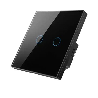 Сенсорный выключатель света двойной,Tuya Smart Wifi, 220 В TUYA2 фото